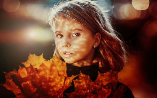 Обои на рабочий стол Девочка с осенними листьями. Фотограф Sergey Piltnik