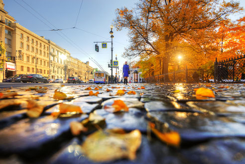 Обои на рабочий стол Осенний Санкт-Петербург, Невский проспект, фотограф Ed Gordeev