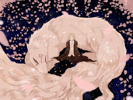 Обои на рабочий стол Takashi Natsume / Такаши Нацумэ и Madara / Nyanko-sensei / Нянко-сенсей отдыхают под лепестками сакуры из аниме Natsune Yuujinchou / Тетрадь друзей Нацумэ, art by Yuki Midorikawa