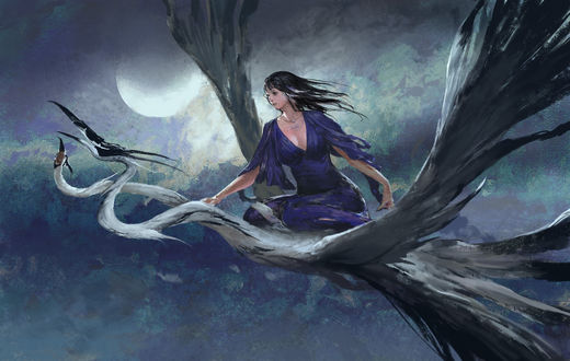 Обои на рабочий стол Девушка на птице в небе, by Chenjie Xia