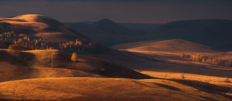 Обои на рабочий стол Осенний бархат, фотограф marateaman