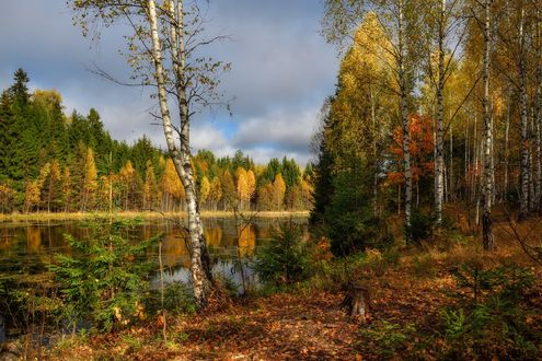 Обои на рабочий стол Красочная осень, фотограф Виталий Полуэктов