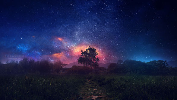 Обои на рабочий стол Дерево на фоне ночного зарева, by Gene Raz von Edler