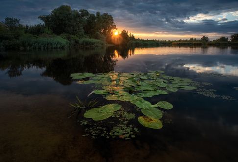 Обои на рабочий стол Закат солнца летом над речкой, фотограф Юрьев Ю. Ю