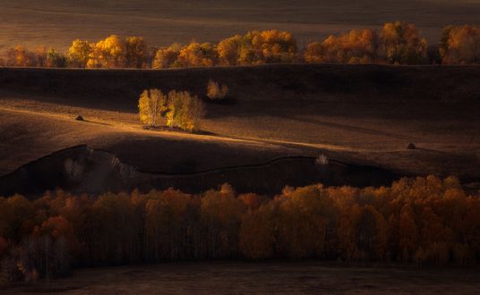 Обои на рабочий стол Осенняя страда, фотограф marateaman
