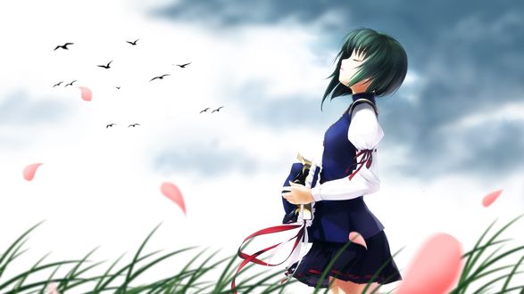 Обои на рабочий стол Shiki Eiki Yamazanadu / Шикиэйки Ямаксанаду из Тохо / Touhou Project с закрытыми глазами стоит в поле держа в руках головной убор на фоне серого неба со стайкой птиц и летящих по ветру лепестков сакуры