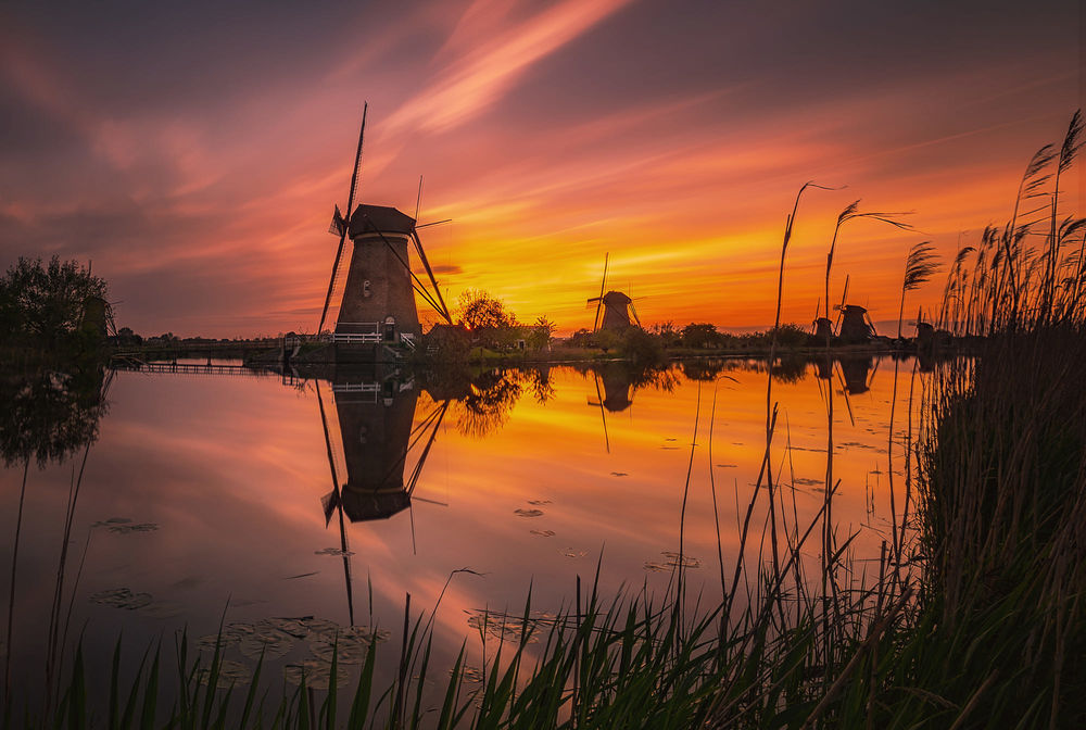 Обои для рабочего стола Ветряные мельницы в Kinderdijk, Holland / Киндердейк в Нидерландах, фотограф Remo Scarfo