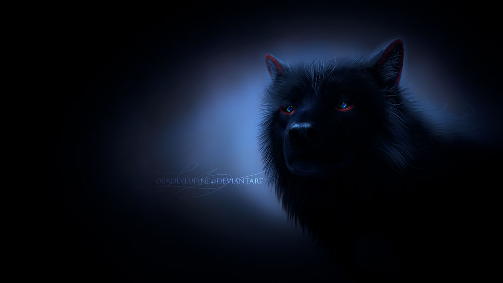 Обои для рабочего стола Иссиня-черный волк с голубыми глазами, by deadlylupine