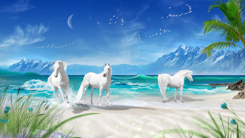 Обои для рабочего стола Белые лошади на морском побережье, by FrostAlexis