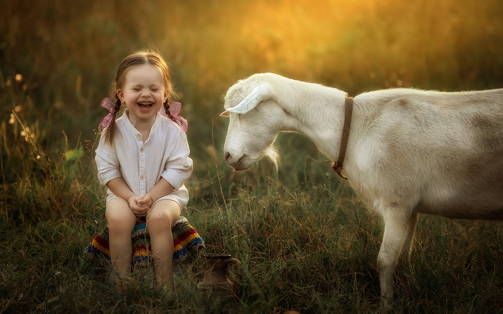 Обои для рабочего стола Смеющаяся девочка рядом с белой козой, фотограф Олеся Ракитова