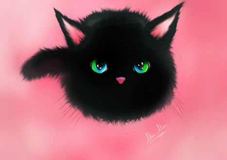 Обои на рабочий стол Черный котенок на розовом фоне, by akira-alion