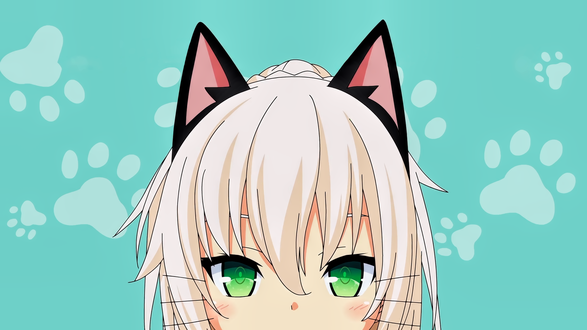 Обои на рабочий стол Shachi Yuuri / Шачи Юри из аниме Nora to Oujo to Noraneko Heart / Нора, принцесса и бродячая кошка, by sanoboss