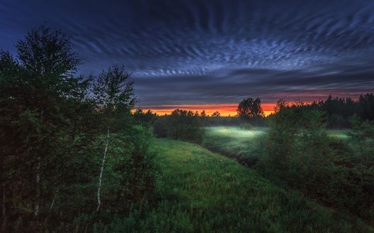 Обои на рабочий стол Природа летом на рассвете, фотограф Евгений Луцко