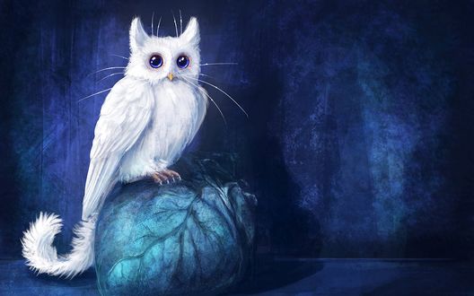 Обои на рабочий стол Белая котосова с голубыми глазами, art by AlsaresLynx