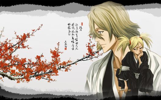 Обои на рабочий стол Kisuke Urahara / Кисуке Урахара, бывший капитан отряда, основатель и первый директор Научно-исследовательского института синигами со своим лейтенантом, аниме Bleach, by Tito Kubo