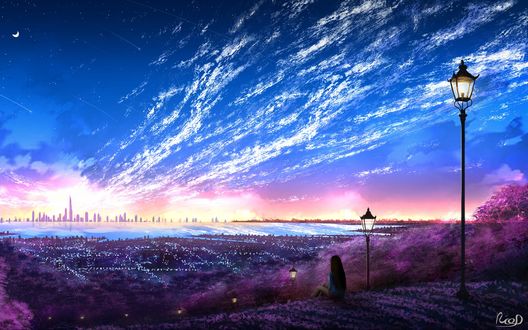 Обои на рабочий стол Девушка в одиночестве сидит на холме и смотрит на город, art by Rico De Zoysa