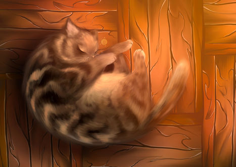 Обои на рабочий стол Полосатый толстый котик спит на полу, by xrosecookie