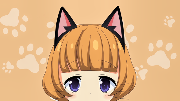 Обои на рабочий стол Tanaka-chan / Танака-чан из аниме Nora to Oujo to Noraneko Heart / Нора, принцесса и бродячая кошка, by sanoboss