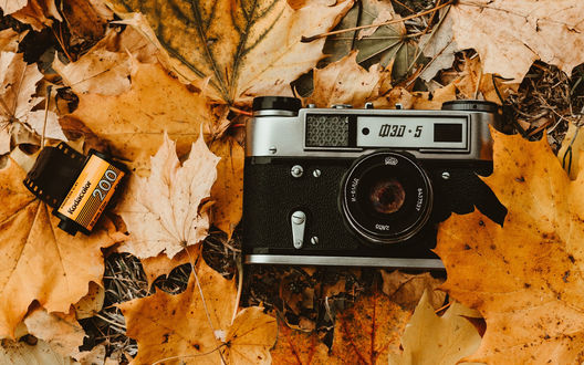 Обои на рабочий стол Фотоаппарат и пленка на осенней листве