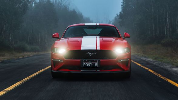 Обои на рабочий стол Ford Mustang / Форд Мустанг едет по загородной трассе