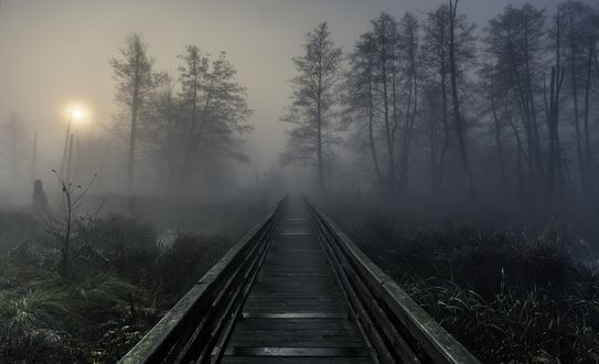 Обои на рабочий стол Деревянный мостик к туманному лесу, фотограф Robert Kropacz