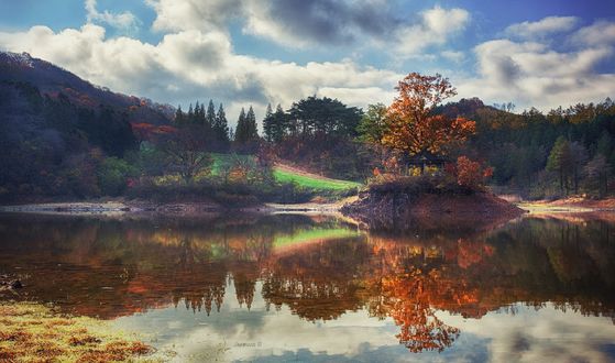 Обои на рабочий стол Осенние деревья и их отражение на воде, фотограф Jaewoon U
