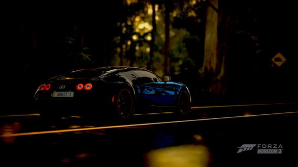 Обои на рабочий стол Bugatti Veyron / Бугатти Вейрон мчится по вечерней загородной трассе из игры Forza Horizon 3
