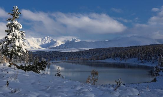 Обои на рабочий стол Горное озеро Киделю осенью в заснеженном Алтае, фотограф Галина Хвостенко