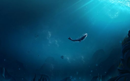 Обои на рабочий стол Кит под водой, art by Ahmet Iltas