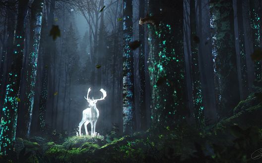 Обои на рабочий стол Светящийся олень в лесу, art by Rocky Schouten