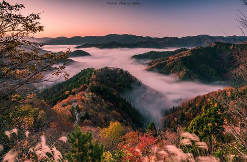 Обои на рабочий стол Туман осенью в горах Shiga Prefecture, Japan / префектуры Шиба, Япония, фотограф Hasan Jakaria