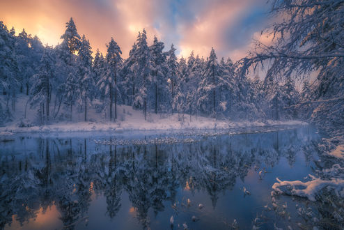 Обои на рабочий стол Местная река, Ringerike, Norway / Рингерике, Норвегия, by Ole Henrik Skjelstad