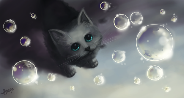 Обои на рабочий стол Котенок смотрит на мыльные пузыри, by xtwistedxamayax