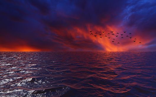 Обои на рабочий стол Птицы над волнистым морем