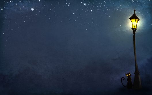 Обои на рабочий стол Черный кот. фонарь. звездное небо. в котором не хватает ведьмы с помелом, но что поделать-минимализм