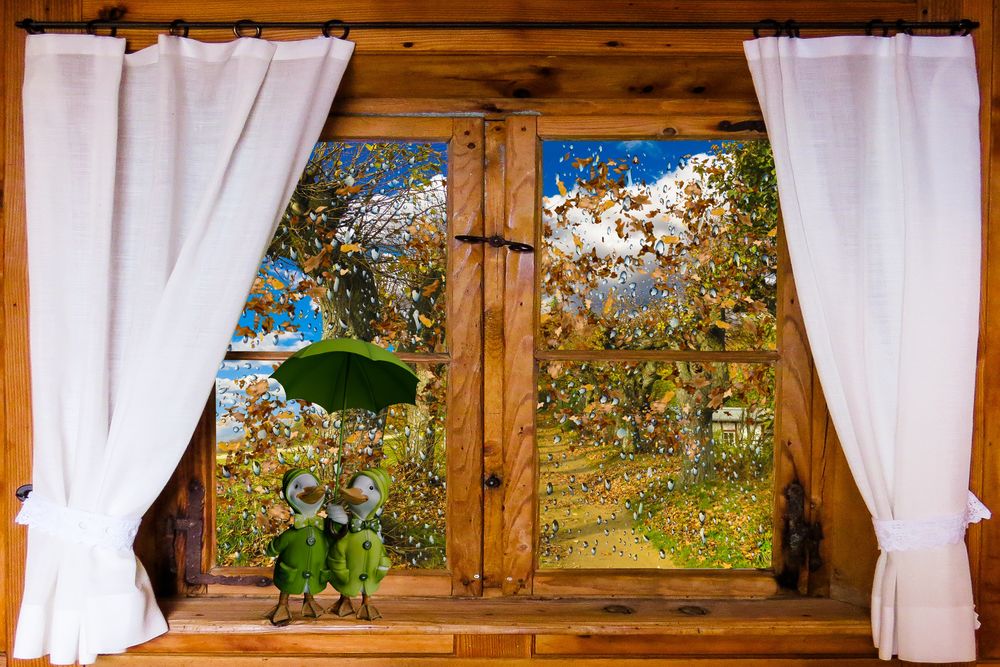 Обои для рабочего стола Парочка утят в пальто под зонтиком на подоконнике залитого осенним дождем окна, by Gerhard Gellinger