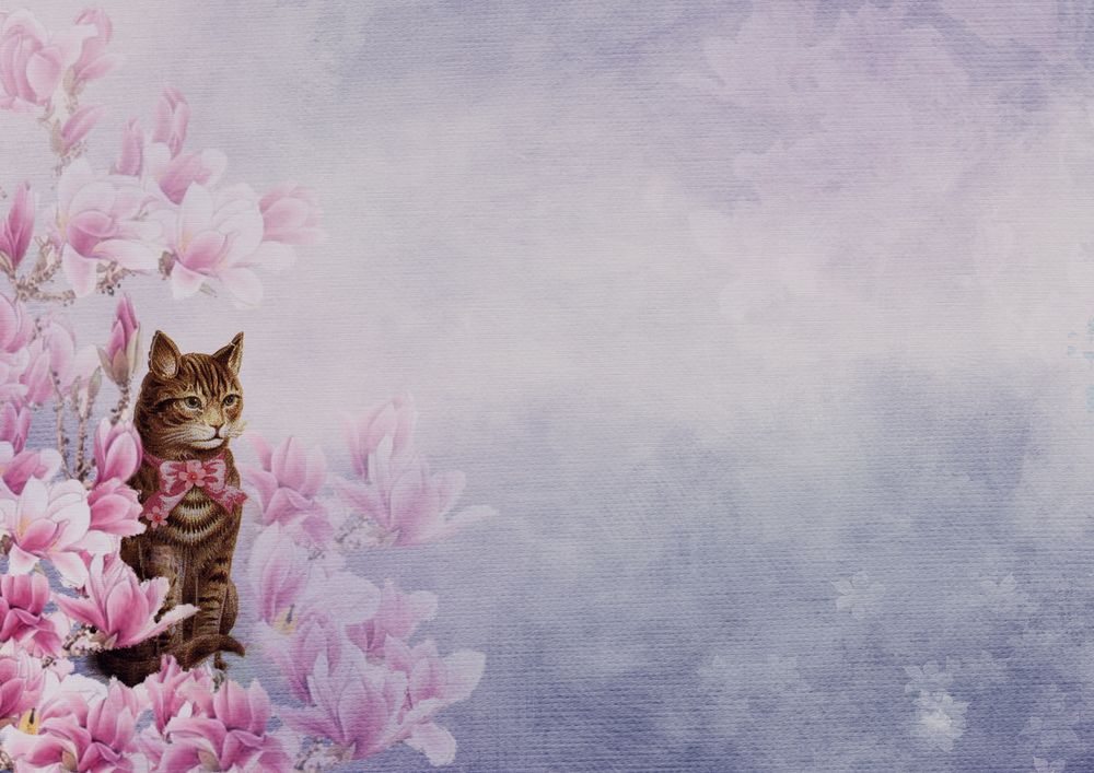 Обои для рабочего стола Кошка среди цветов, размытый фон, by Dorothe