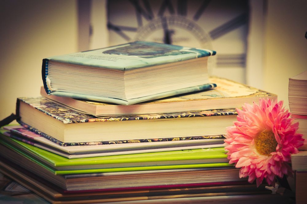 Обои для рабочего стола Розовая астра лежит рядом со стопочкой книг