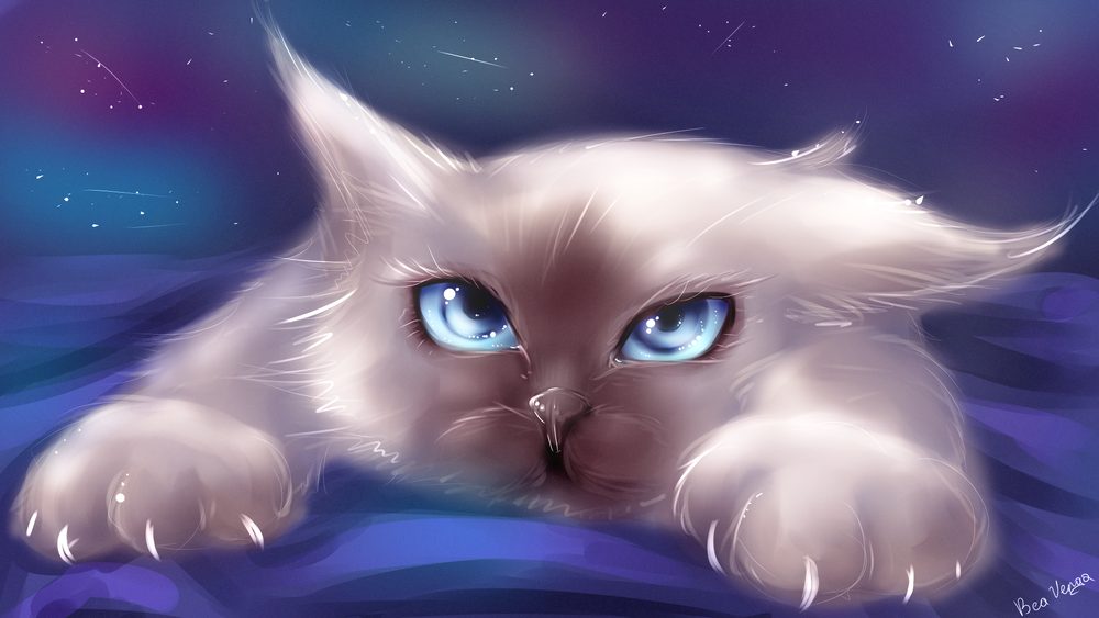 Обои для рабочего стола Кошка с голубыми глазами, by BeaVenga