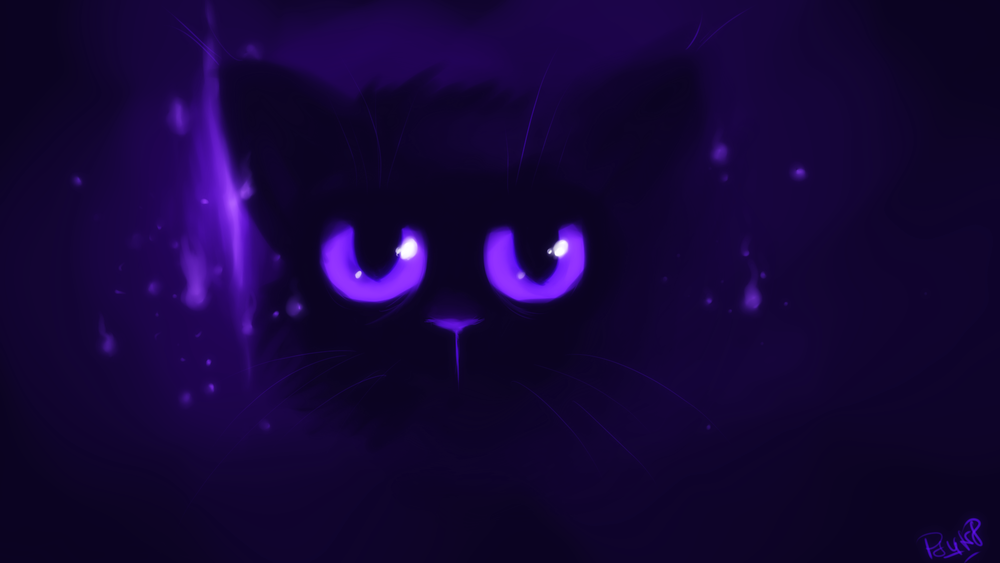 Фиолетовый кот видео. Фиолетовый кот. Чёрный кот с фиолетовыми глазами. Фиолетовая кошка. Фиолетовые коты.