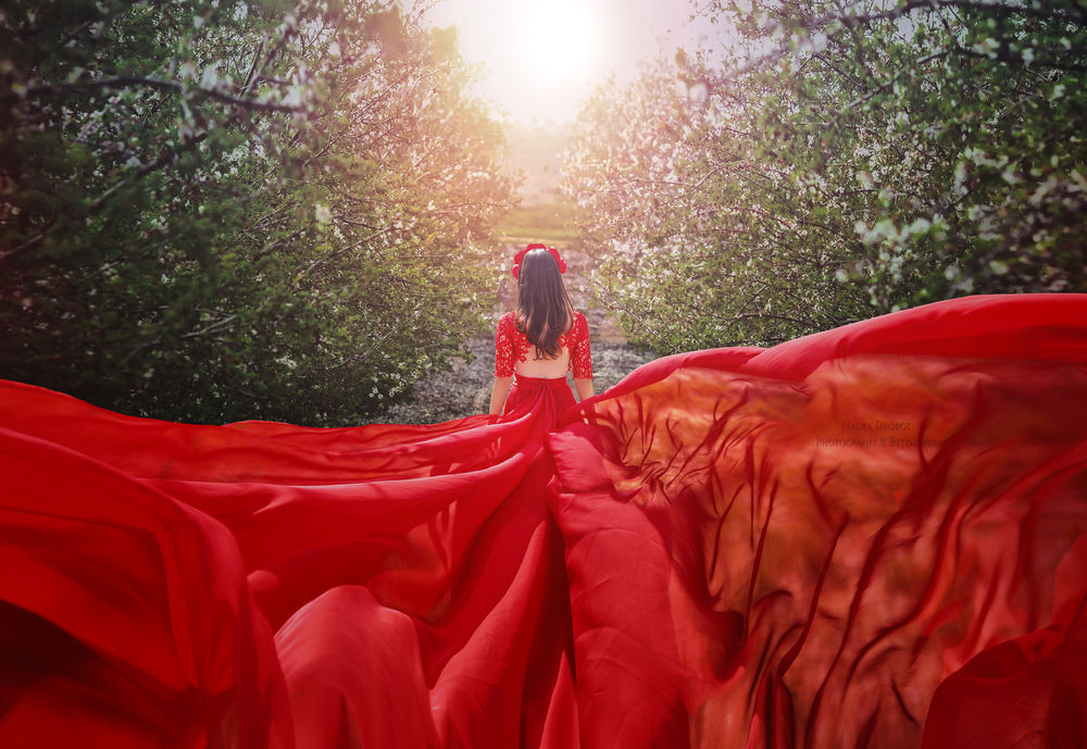 Обои для рабочего стола Девушка в красном платье идет к свету по дорожке в цветущем саду, фотограф Malika Drobot