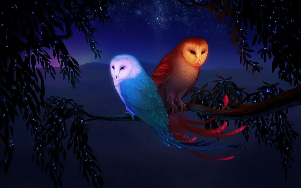 Обои для рабочего стола Две совы, олицетворяющие две стихии - огонь и воду, в ночи сидят на ветке дерева с мерцающими подобно звездам голубыми светлячками на листьях