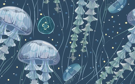 Обои на рабочий стол Медузы под водой, art by Alyona Vorotnikova