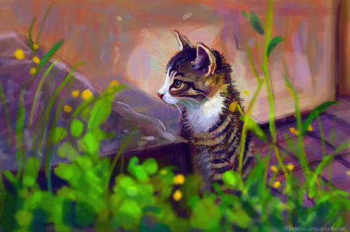 Обои на рабочий стол Полосатый котенок сиди возле дома, by Meorow