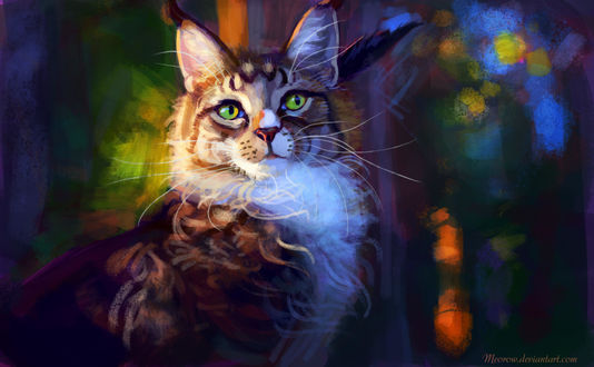 Обои на рабочий стол Кот породы мей кун, by Meorow