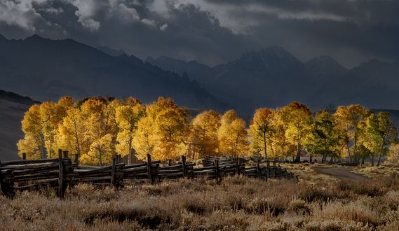 Обои на рабочий стол Autumn in Colorado / Осень в Колорадо, фотограф suk eun kim