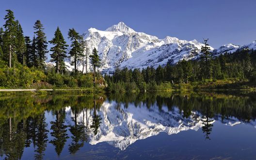 Обои на рабочий стол Лес у озера на фоне белоснежной горы Mt. Baker, WA / Mt. Бейкер, Вашингтон в ясный день. Фотограф Peter Cheung