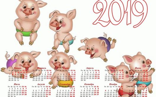 Обои на рабочий стол Календарь на 2019 год с изображением поросят