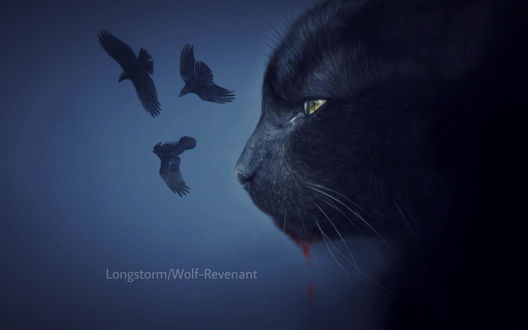 Обои на рабочий стол Морда кошки перед птицами, by Wolf-Revenant