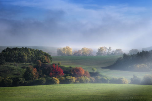 Обои на рабочий стол Colors of autumn / Цвета осени, фотограф Zanfoar